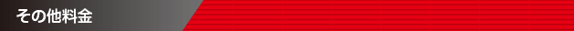 その他料金